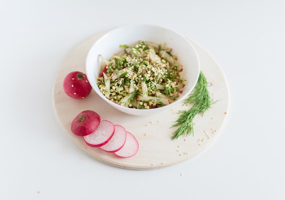 Vegani a vegetariáni